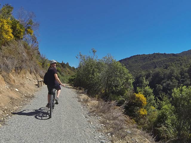 Te Anau- Manapouri trail, Nieuw Zeeland